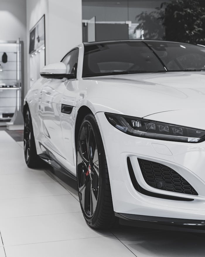 services-01 Close-up of a white sports car's front end in a modern showroom, showcasing sleek design and elegance.